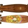 Arbor Pintail Fish Solstice Complete Longboard