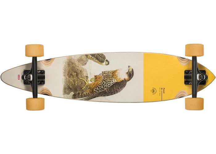 Globe Pintail 34 Falcon Complete Longboard