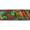 Santa Cruz Johnson Beach Wolf Two 8.375" Skateboard Deck
