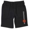 Santa Cruz Classic Dot Shorts Stripe Black