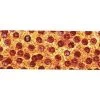 Skate Mental Pizza Griptape