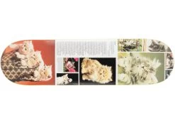 Studio Cat Books Kittens 8.25" / 8.375" Skateboard Deck