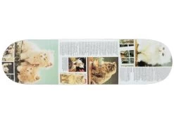 Studio Cat Books Curiosity 8.125" / 8.25" Skateboard Deck