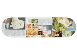 Studio Cat Books Mystical Appeal 7.8" / 8.25" Skateboard Deck