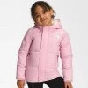 The North Face Kid's North Down Hooded Jacket Cameo Pink