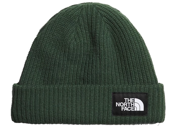 The North Face Salty Lined Beanie Pine Needle