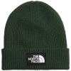 The North Face TNF Logo Box Cuffed Beanie Pine Needle