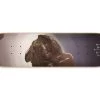 ULC Encounter 8.125"/8.5" Skateboard Deck