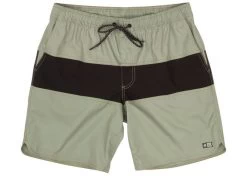 Salty Crew Beacons Elastic Boardshorts Olive