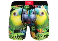 Undz Classic Boxer Parrot